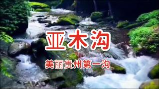 如何让双子座男爱你一生游戏画面